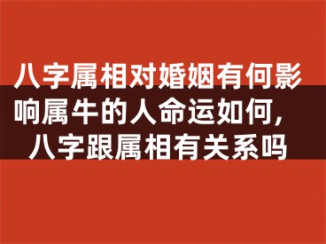 八字属相对婚姻有何影响属牛的人命运如何,八字跟属相有关系吗