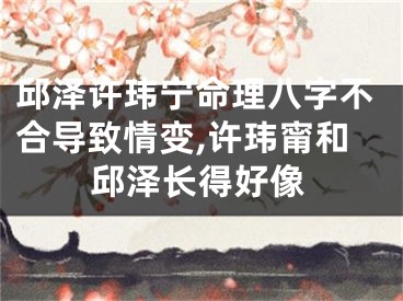 邱泽许玮宁命理八字不合导致情变,许玮甯和邱泽长得好像