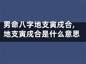 男命八字地支寅戍合,地支寅戌合是什么意思