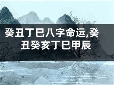 癸丑丁巳八字命运,癸丑癸亥丁巳甲辰