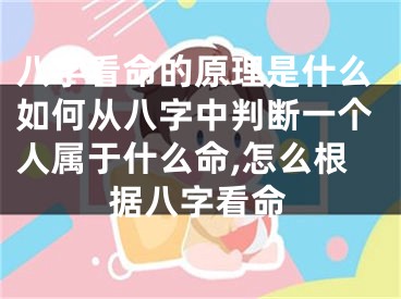 八字看命的原理是什么如何从八字中判断一个人属于什么命,怎么根据八字看命