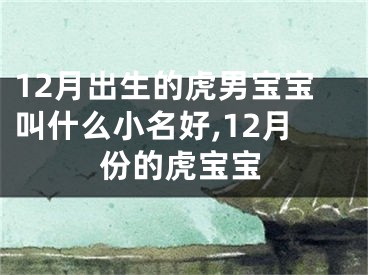 12月出生的虎男宝宝叫什么小名好,12月份的虎宝宝