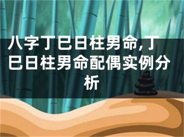 八字丁巳日柱男命,丁巳日柱男命配偶实例分析