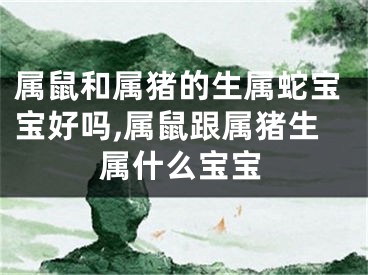 属鼠和属猪的生属蛇宝宝好吗,属鼠跟属猪生属什么宝宝