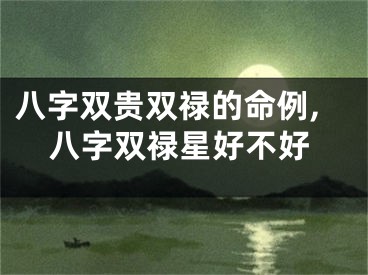 八字双贵双禄的命例,八字双禄星好不好