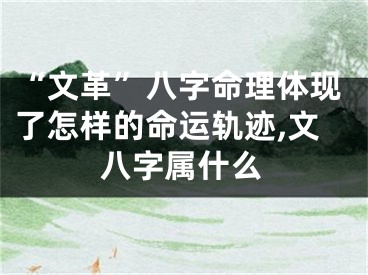 “文革”八字命理体现了怎样的命运轨迹,文八字属什么