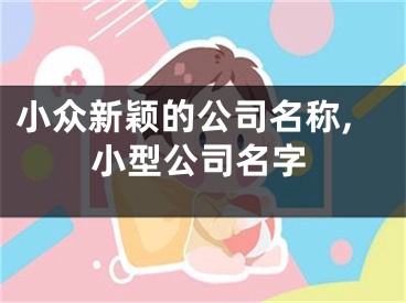 小众新颖的公司名称,小型公司名字
