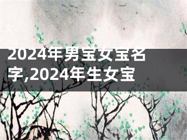 2024年男宝女宝名字,2024年生女宝