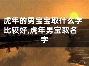 虎年的男宝宝取什么字比较好,虎年男宝取名字