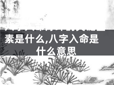 八字入命好坏的关键因素是什么,八字入命是什么意思