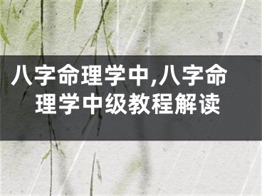 八字命理学中,八字命理学中级教程解读