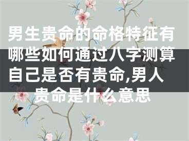 男生贵命的命格特征有哪些如何通过八字测算自己是否有贵命,男人贵命是什么意思