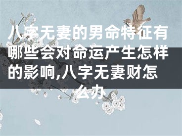 八字无妻的男命特征有哪些会对命运产生怎样的影响,八字无妻财怎么办