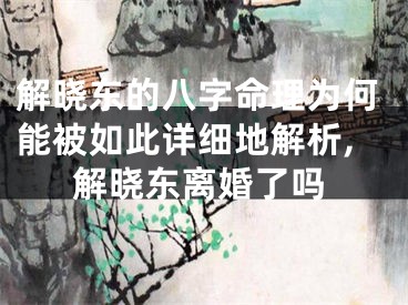 解晓东的八字命理为何能被如此详细地解析,解晓东离婚了吗