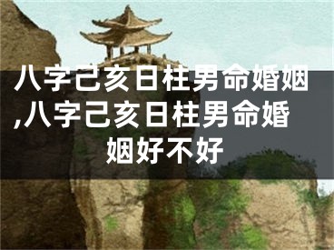 八字己亥日柱男命婚姻,八字己亥日柱男命婚姻好不好