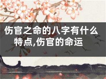 伤官之命的八字有什么特点,伤官的命运