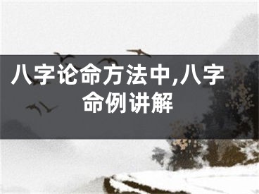八字论命方法中,八字命例讲解