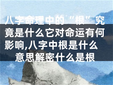 八字命理中的“根”究竟是什么它对命运有何影响,八字中根是什么意思解密什么是根