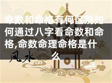 命数和命格有何区别如何通过八字看命数和命格,命数命理命格是什么