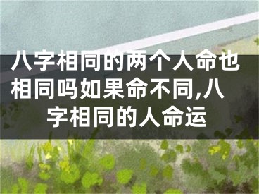 八字相同的两个人命也相同吗如果命不同,八字相同的人命运