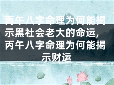 丙午八字命理为何能揭示黑社会老大的命运,丙午八字命理为何能揭示财运