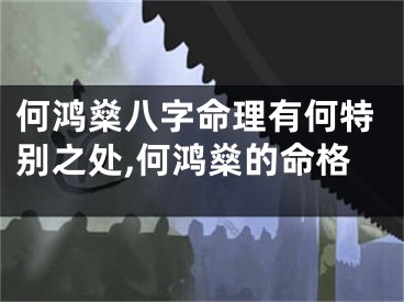 何鸿燊八字命理有何特别之处,何鸿燊的命格