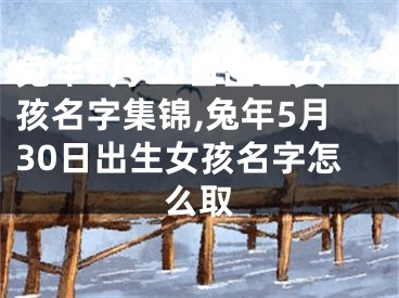 兔年5月30日出生女孩名字集锦,兔年5月30日出生女孩名字怎么取