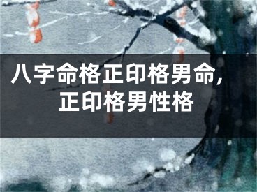 八字命格正印格男命,正印格男性格