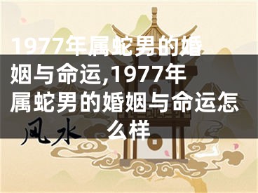 1977年属蛇男的婚姻与命运,1977年属蛇男的婚姻与命运怎么样