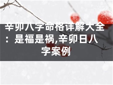 辛卯八字命格详解大全：是福是祸,辛卯日八字案例