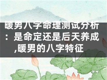 暖男八字命理测试分析：是命定还是后天养成,暖男的八字特征