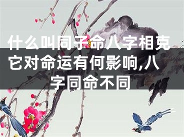 什么叫同子命八字相克它对命运有何影响,八字同命不同