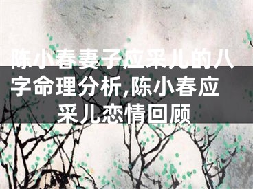 陈小春妻子应采儿的八字命理分析,陈小春应采儿恋情回顾
