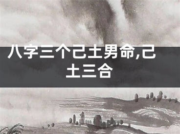 八字三个己土男命,己土三合