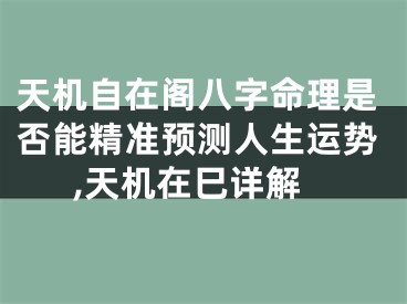 天机自在阁八字命理是否能精准预测人生运势,天机在巳详解