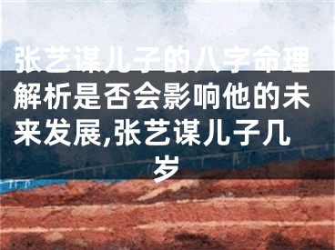 张艺谋儿子的八字命理解析是否会影响他的未来发展,张艺谋儿子几岁