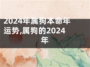 2024年属狗本命年运势,属狗的2024年