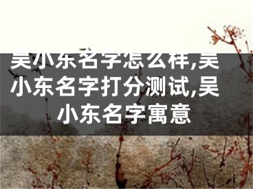 吴小东名字怎么样,吴小东名字打分测试,吴小东名字寓意