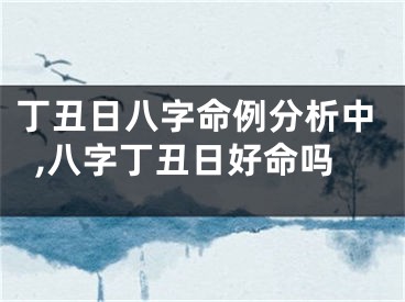丁丑日八字命例分析中,八字丁丑日好命吗