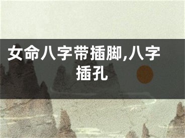 女命八字带插脚,八字插孔