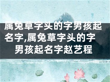 属兔草字头的字男孩起名字,属兔草字头的字男孩起名字赵艺程
