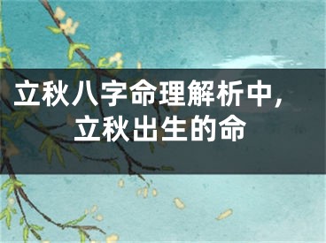 立秋八字命理解析中,立秋出生的命