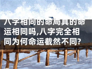 八字相同的命局真的命运相同吗,八字完全相同为何命运截然不同?