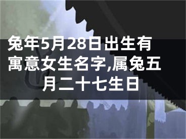 兔年5月28日出生有寓意女生名字,属兔五月二十七生日