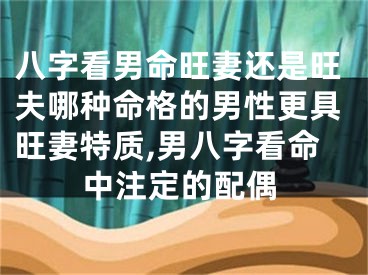八字看男命旺妻还是旺夫哪种命格的男性更具旺妻特质,男八字看命中注定的配偶