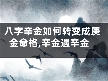 八字辛金如何转变成庚金命格,辛金遇辛金