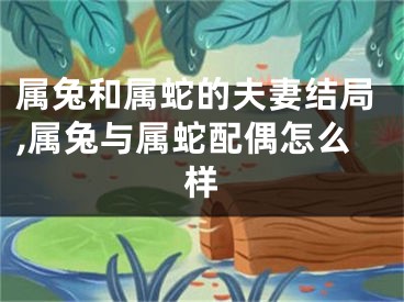 属兔和属蛇的夫妻结局,属兔与属蛇配偶怎么样