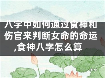 八字中如何通过食神和伤官来判断女命的命运,食神八字怎么算