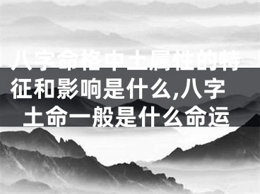 八字命格中土属性的特征和影响是什么,八字土命一般是什么命运