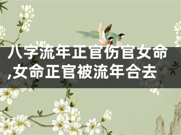 八字流年正官伤官女命,女命正官被流年合去